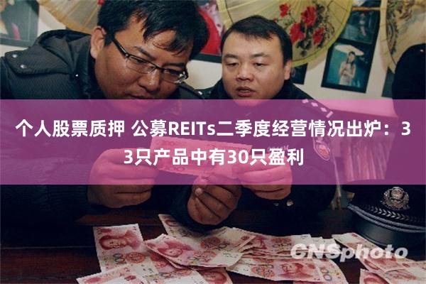 个人股票质押 公募REITs二季度经营情况出炉：33只产品中有30只盈利