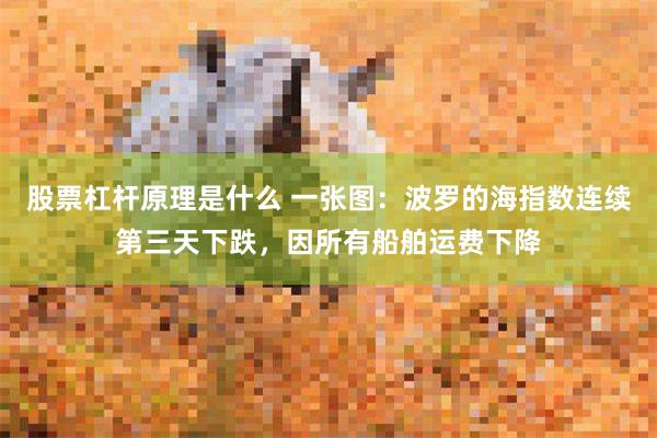 股票杠杆原理是什么 一张图：波罗的海指数连续第三天下跌，因所有船舶运费下降