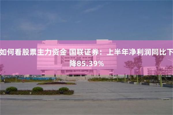 如何看股票主力资金 国联证券：上半年净利润同比下降85.39%