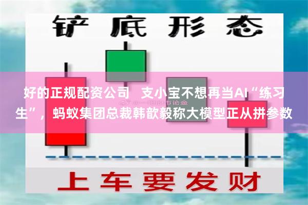 好的正规配资公司   支小宝不想再当AI“练习生”，蚂蚁集团总裁韩歆毅称大模型正从拼参数