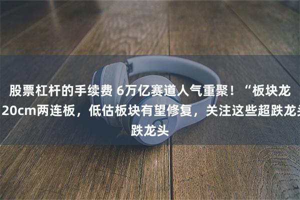 股票杠杆的手续费 6万亿赛道人气重聚！“板块龙”20cm两连板，低估板块有望修复，关注这些超跌龙头