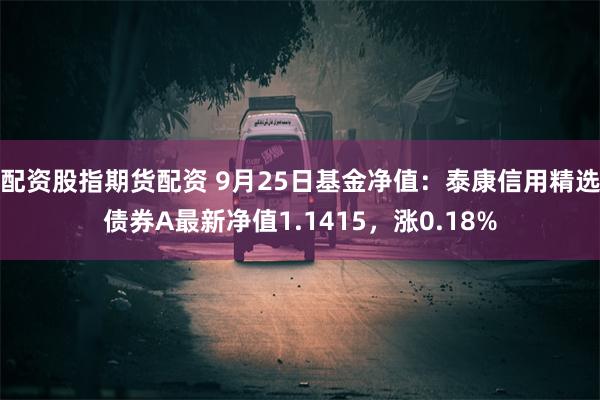 配资股指期货配资 9月25日基金净值：泰康信用精选债券A最新净值1.1415，涨0.18%