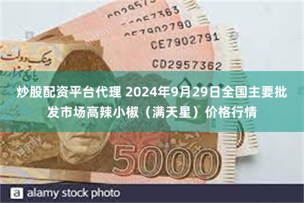 炒股配资平台代理 2024年9月29日全国主要批发市场高辣小椒（满天星）价格行情