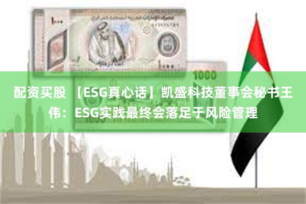 配资买股 【ESG真心话】凯盛科技董事会秘书王伟：ESG实践最终会落足于风险管理