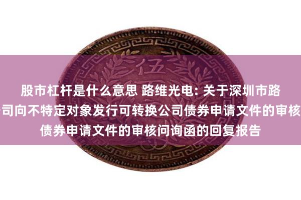 股市杠杆是什么意思 路维光电: 关于深圳市路维光电股份有限公司向不特定对象发行可转换公司债券申请文件的审核问询函的回复报告